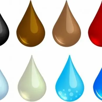 A drop of water.