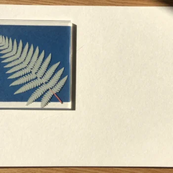 A fern frond pressed under glass on sun-print paper, its exact pale outline captured on the blue sheet.