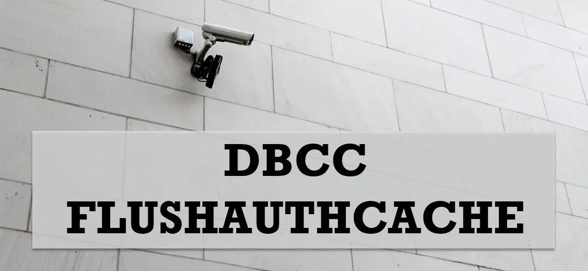 DBCC FLUSHAUTHCACHE