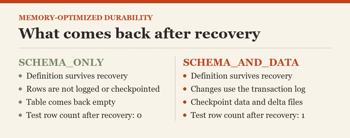 What comes back after recovery: a diagram about the SCHEMA_ONLY