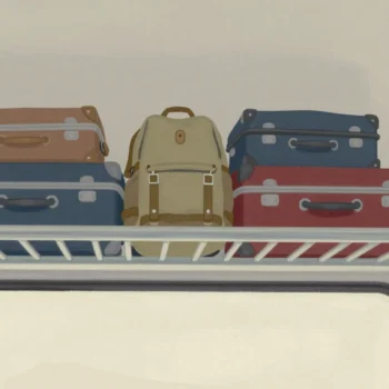 Temporary luggage rests in designated storage spaces on a shelf