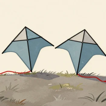 Two matching kites on the grass, differing only in their tails, one short and red.