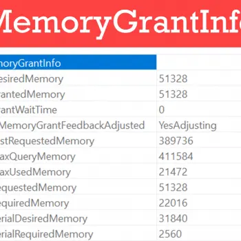 MemoryGrantInfo