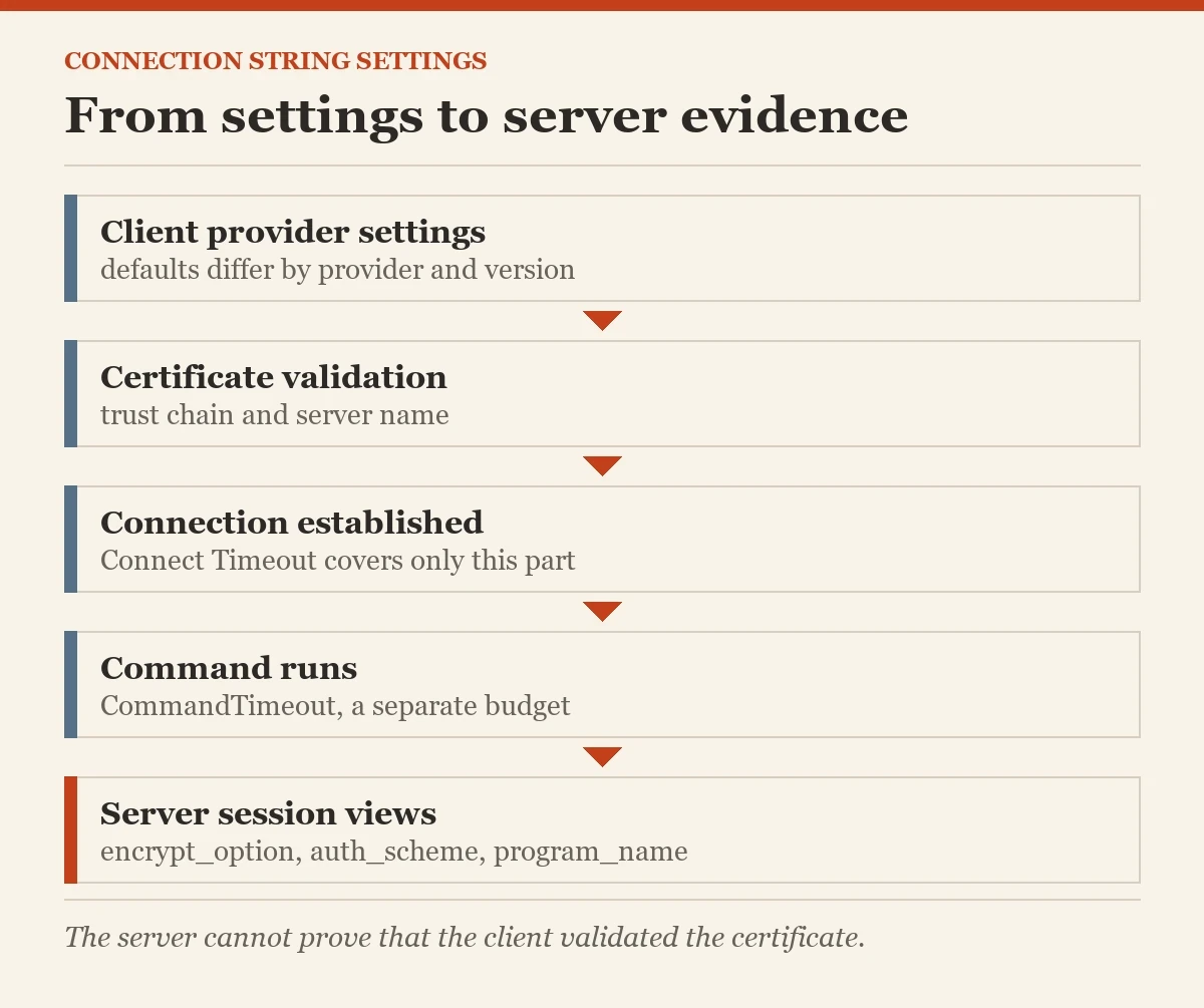 From settings to server evidence: a diagram about the TrustServerCertificate