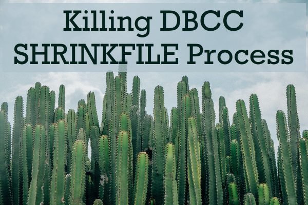 All Articles SHRINKFILEProcess-600x400 