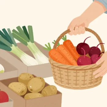 Two hands unpacking a mixed harvest box into separate wicker baskets of carrots, leeks, apples and radishes.