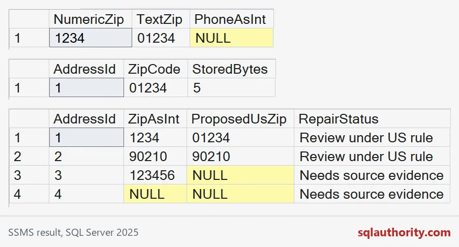 Result grids comparing numeric and text identifiers and ZIP repair review flags