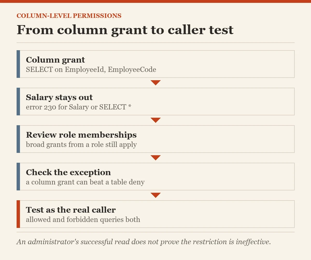 From column grant to caller test: a diagram about the column-level permissions