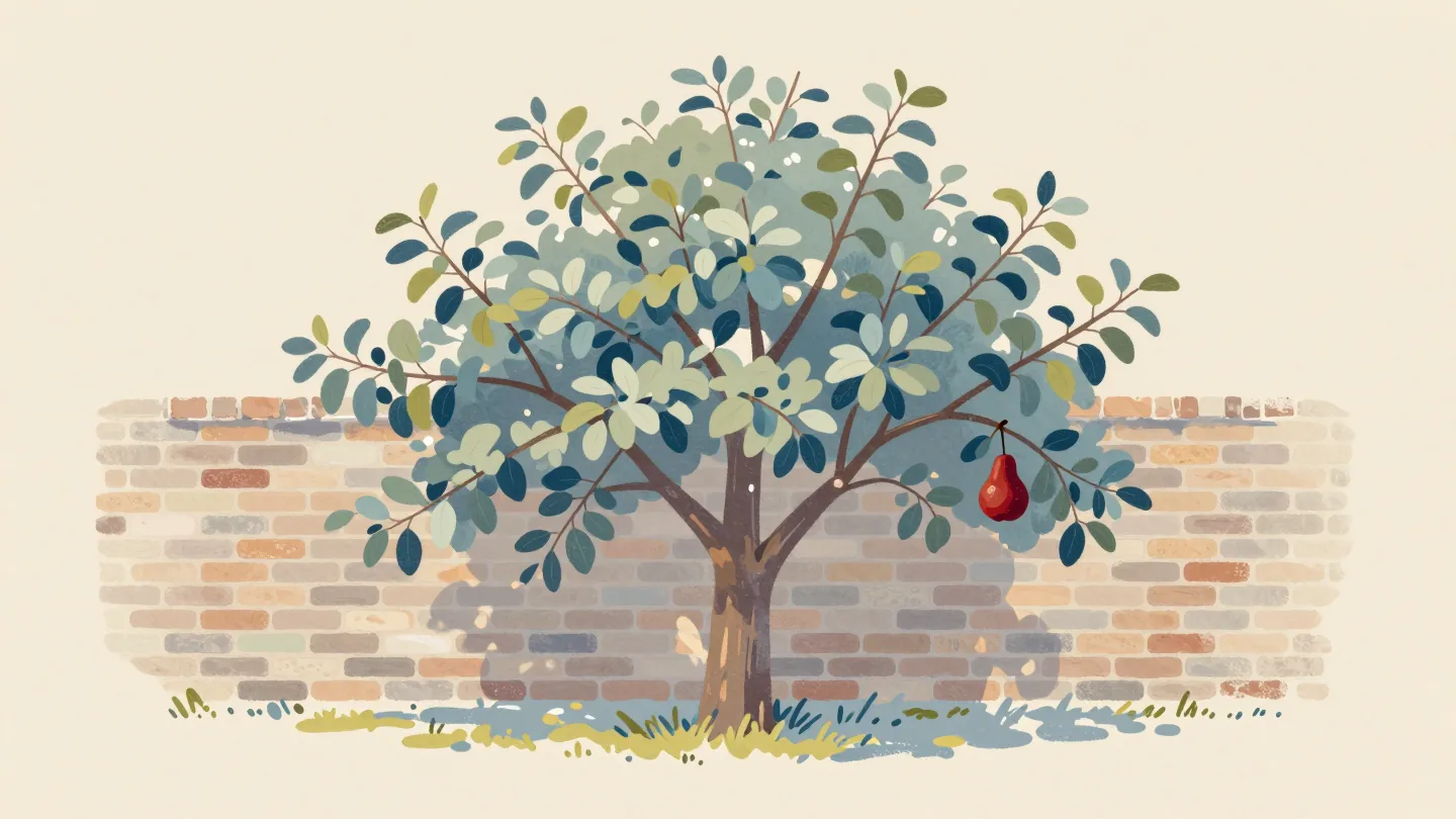 A pear tree trained flat against a brick wall, a finger tracing one branch from the trunk to a single pear.