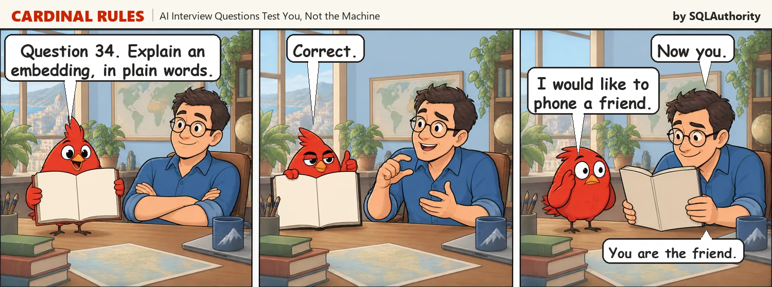 Three panel cartoon. The red bird holds an interview questions book and asks Sam to explain an embedding in plain words. Sam explains it and the bird says correct. Sam says now you, and the bird asks to phone a friend.