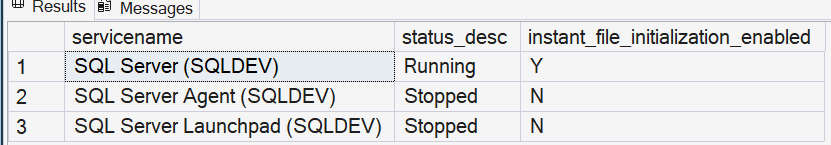 SSMS result showing instant_file_initialization_enabled Y for the SQL Server service