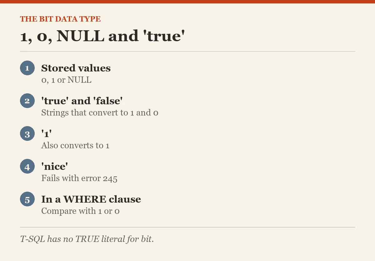 The bit data type: 1, 0, NULL and 'true'