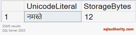 The Unicode literal is preserved, and its nvarchar storage length is 12 bytes.