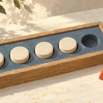 Round wooden pieces fit a blue sorting frame while an angular red piece remains outside.