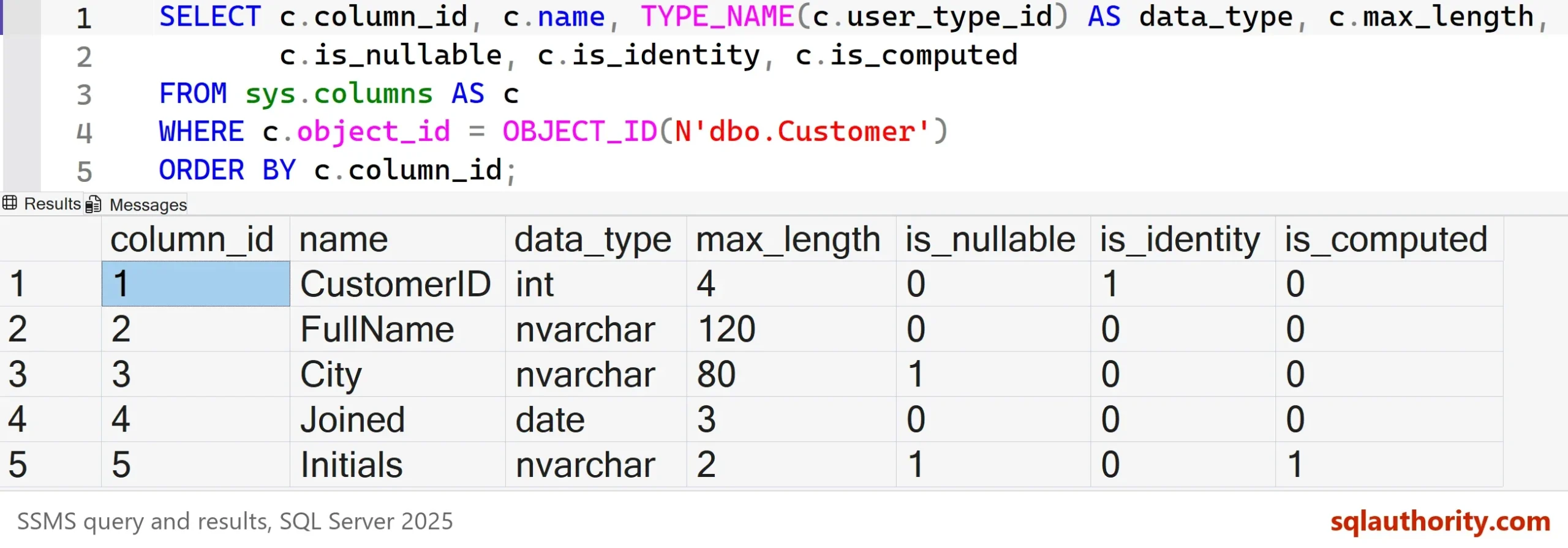SSMS query and result grid listing the five columns of dbo.Customer, with CustomerID as the identity column, FullName at max_length 120 and Initials as the computed column