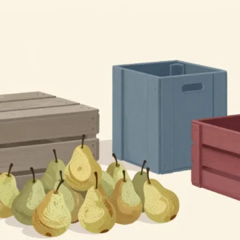 Gouache painting of a heap of pears beside a grey wooden crate, a blue crate and an open vermilion crate