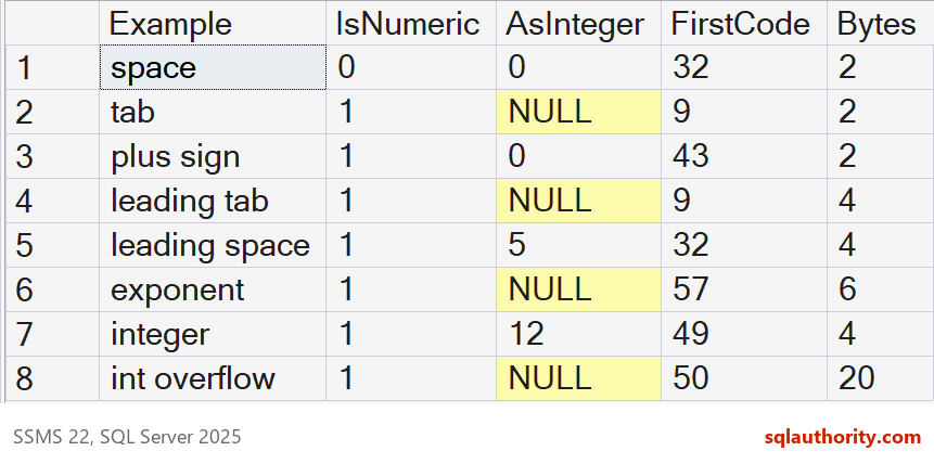 SSMS results comparing space, tab, plus sign, leading whitespace, exponent text and integer overflow.