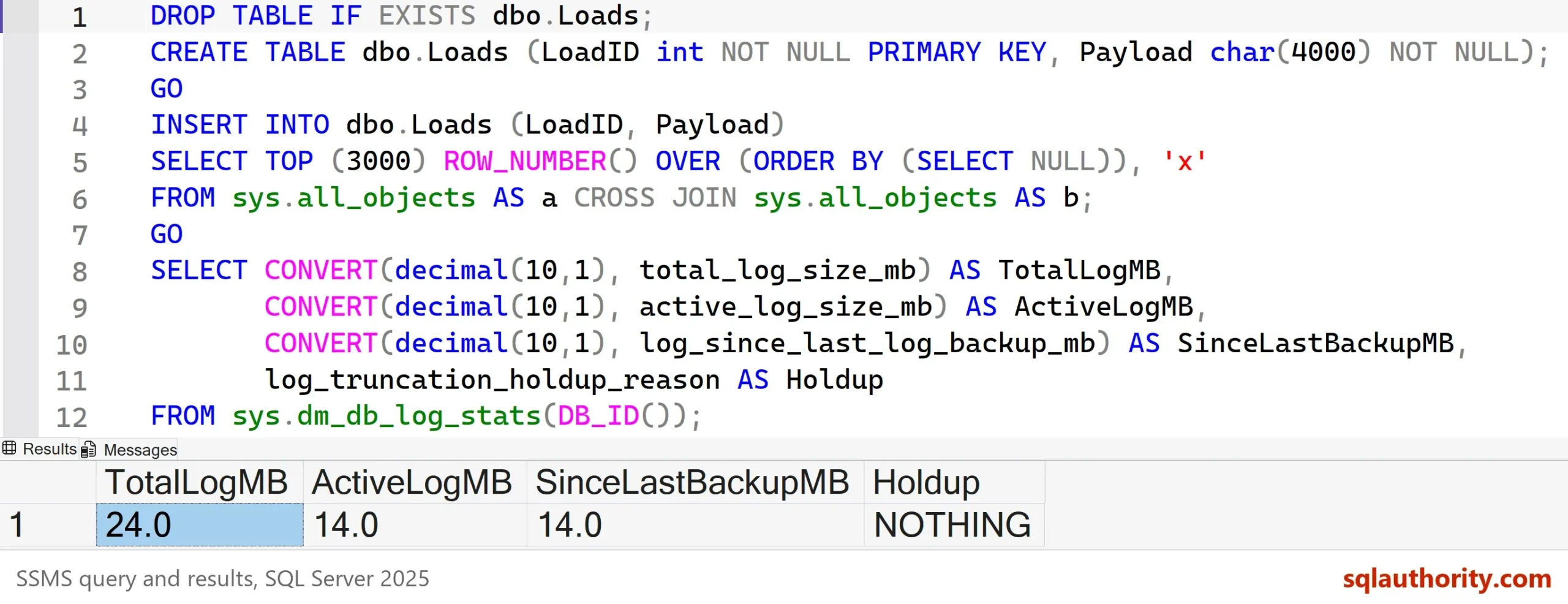 SSMS query and result grid with one row: total log size 24.0 MB, active log size 14.0 MB, 14.0 MB written since the last log backup, truncation holdup reason NOTHING