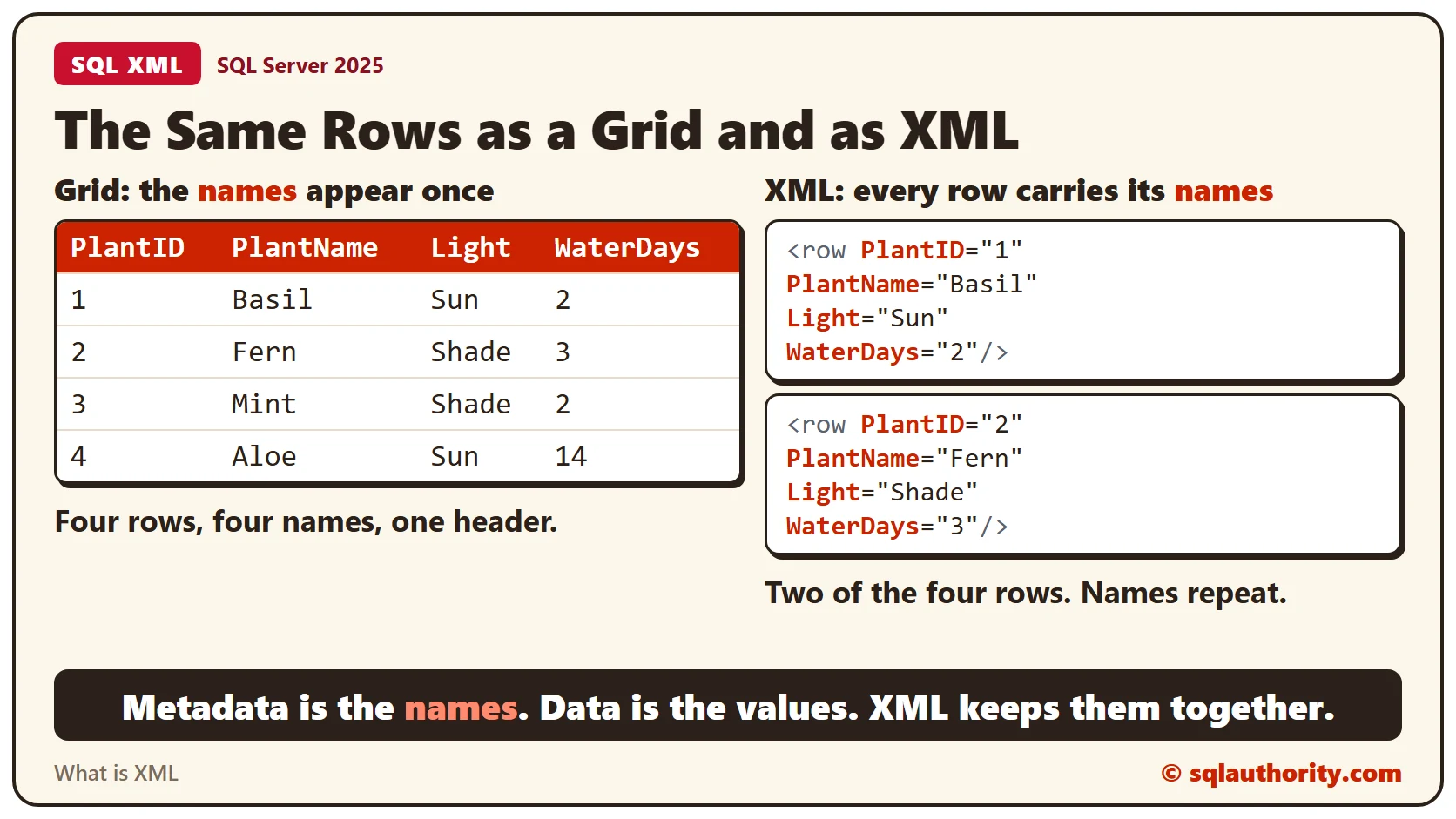 A grid of four plants with its column names in one red header, beside the same rows as XML where PlantID, PlantName, Light and WaterDays repeat inside every row element
