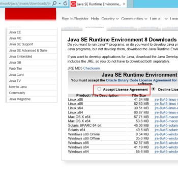 Java SE Runtime Environment 8 Download window.