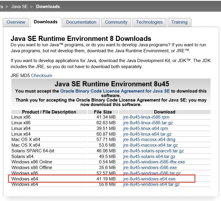 Windows runtime environment.