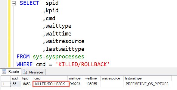 Sql server management studio query window.