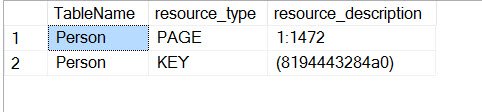 Result of the script to identify locked table, showing the Person table.