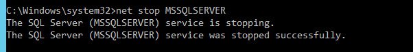 Service stopped successfully.