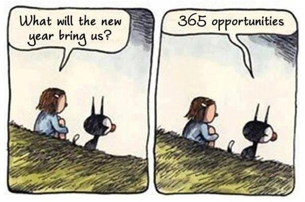 365 Opportunities.