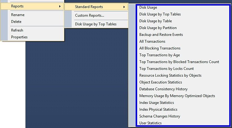 Standard Reports Disk Usage.
