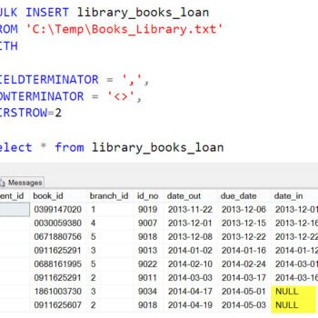 SQL Server Query Results.