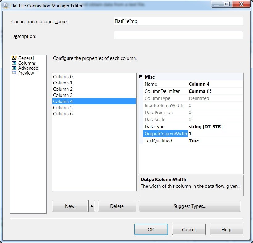 Flat File Connection Manager Editor.