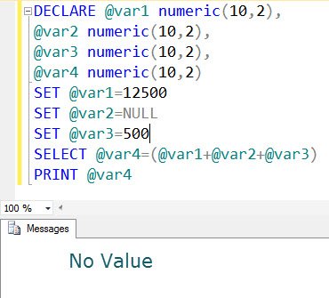 SQL Server query execution error.