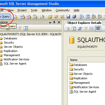 Click New Query button in SQL Server Management Studio.