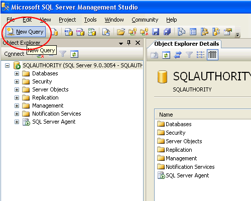 Click New Query button in SQL Server Management Studio.