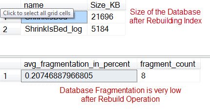 Database fragmentation information.