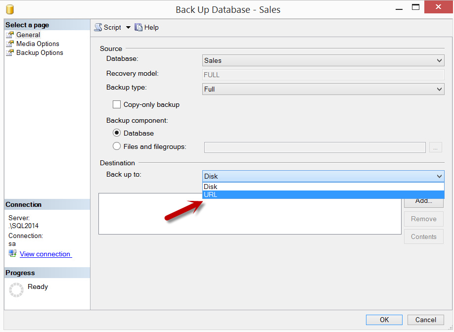 Disk URL connection options.