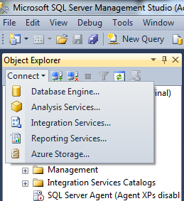 Sql Server Object Explorer.