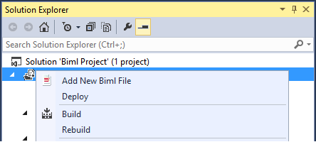 Biml Solution Explorer.