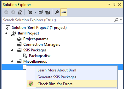 Biml Project Window.