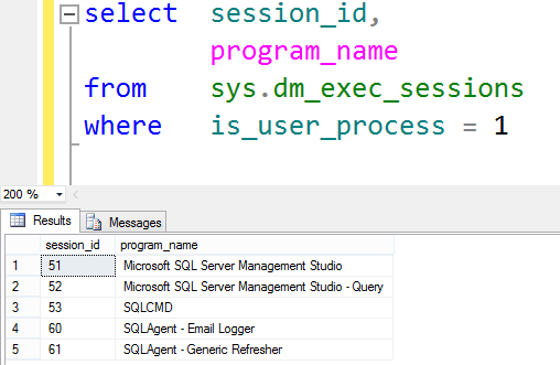 Sql server management studio query window.