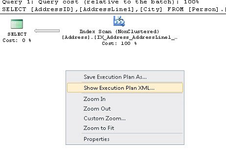 Show Execution Plan XML.