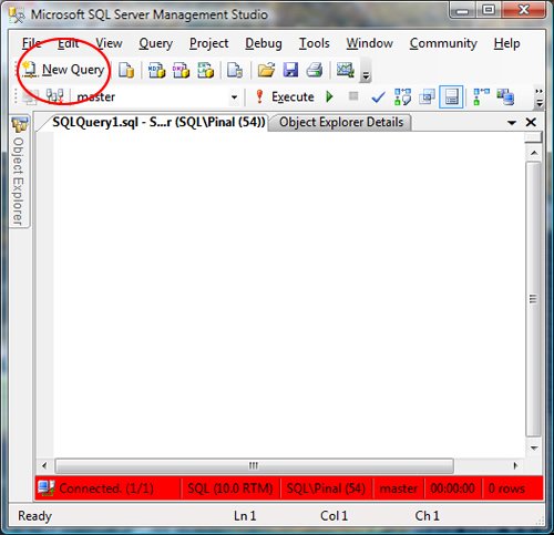 SQL Query window in SQL Server Management Studio.