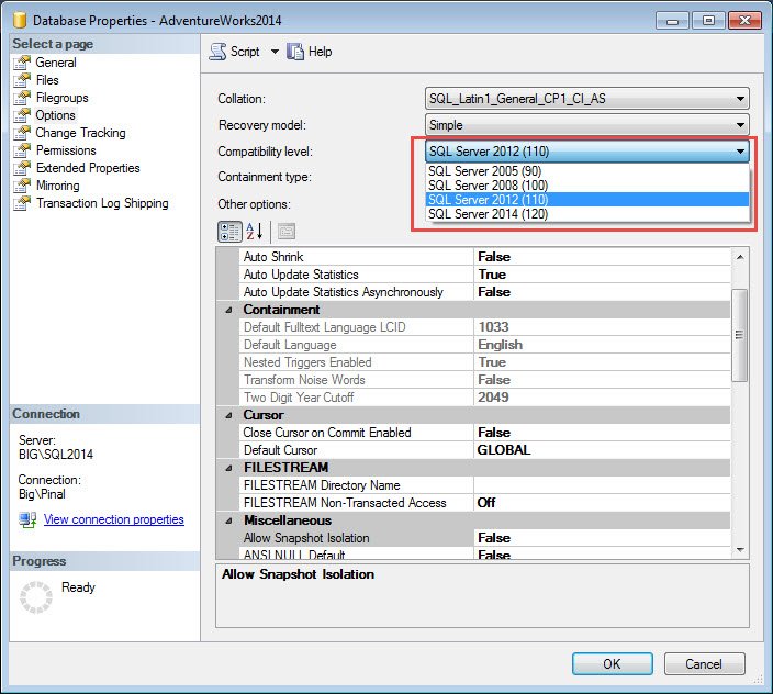 SQL Server 2012 Compatibility Level.