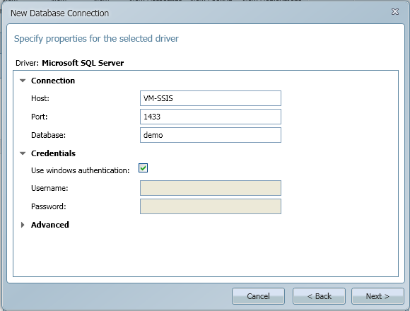 SQL Server Connection Properties.