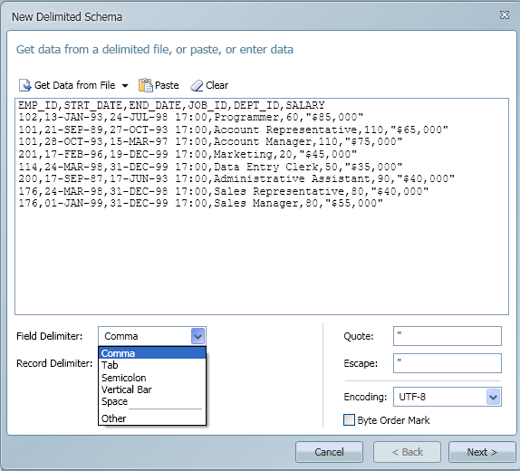 Delimited Schema Window.