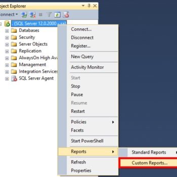 Custom Reports SQL Server.