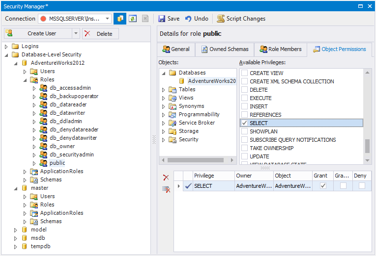 SELECT privilege in security manager.