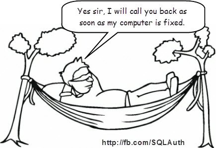 Comic depicting a person in hammock with computer repair quote.