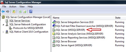 SQL Server Integration Services 10.0.